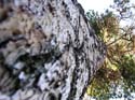 Coeur d'Alene Lake Area Photographs (215)