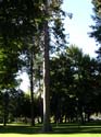 Coeur d'Alene Lake Area Photographs (224)