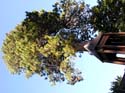 Coeur d'Alene Lake Area Photographs (232)