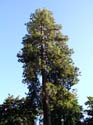 Coeur d'Alene Lake Area Photographs (233)