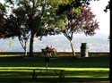 Coeur d'Alene Lake Area Photographs (241)