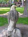 Coeur d'Alene Lake Area Photographs (246)