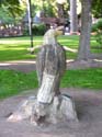 Coeur d'Alene Lake Area Photographs (247)