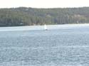 Coeur d'Alene Lake Area Photographs (252)