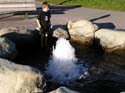 Coeur d'Alene Lake Area Photographs (262)