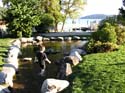 Coeur d'Alene Lake Area Photographs (269)
