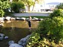 Coeur d'Alene Lake Area Photographs (270)