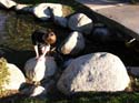 Coeur d'Alene Lake Area Photographs (271)