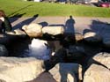 Coeur d'Alene Lake Area Photographs (293)