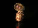 Coeur d'Alene Lake Area Photographs (30)