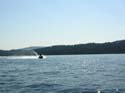 Coeur d'Alene Lake Area Photographs (310)