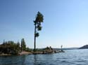 Coeur d'Alene Lake Area Photographs (315)