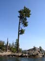 Coeur d'Alene Lake Area Photographs (317)