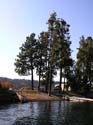 Coeur d'Alene Lake Area Photographs (331)