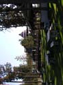 Coeur d'Alene Lake Area Photographs (345)