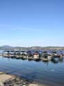 Coeur d'Alene Lake Area Photographs (350)