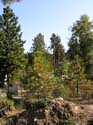 Coeur d'Alene Lake Area Photographs (368)