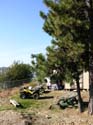 Coeur d'Alene Lake Area Photographs (377)