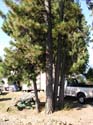 Coeur d'Alene Lake Area Photographs (378)