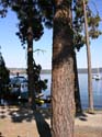 Coeur d'Alene Lake Area Photographs (381)