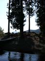 Coeur d'Alene Lake Area Photographs (389)