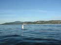 Coeur d'Alene Lake Area Photographs (420)
