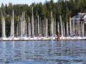 Coeur d'Alene Lake Area Photographs (430)