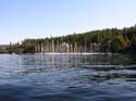 Coeur d'Alene Lake Area Photographs (431)