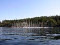 Coeur d'Alene Lake Area Photographs (432)