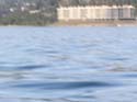 Coeur d'Alene Lake Area Photographs (447)