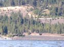 Coeur d'Alene Lake Area Photographs (466)