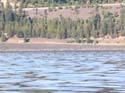 Coeur d'Alene Lake Area Photographs (467)