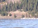 Coeur d'Alene Lake Area Photographs (468)