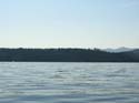 Coeur d'Alene Lake Area Photographs (491)
