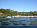 Coeur d'Alene Lake Area Photographs (505)