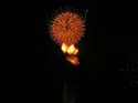 Coeur d'Alene Lake Area Photographs (54)