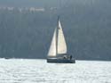 Coeur d'Alene Lake Area Photographs (554)