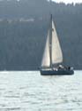 Coeur d'Alene Lake Area Photographs (557)