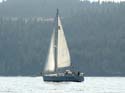 Coeur d'Alene Lake Area Photographs (558)