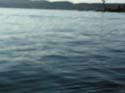 Coeur d'Alene Lake Area Photographs (566)