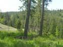 Coeur d'Alene Lake Area Photographs (585)