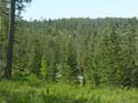 Coeur d'Alene Lake Area Photographs (586)