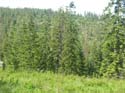 Coeur d'Alene Lake Area Photographs (587)