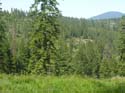 Coeur d'Alene Lake Area Photographs (588)