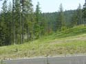 Coeur d'Alene Lake Area Photographs (597)