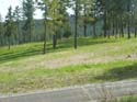 Coeur d'Alene Lake Area Photographs (599)