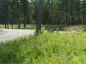Coeur d'Alene Lake Area Photographs (603)