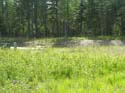 Coeur d'Alene Lake Area Photographs (604)