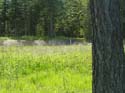 Coeur d'Alene Lake Area Photographs (605)