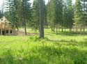 Coeur d'Alene Lake Area Photographs (608)
